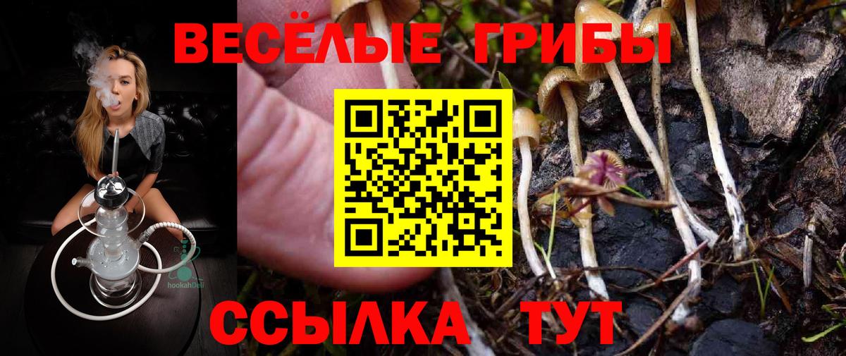 Галлюциногенные грибы Cubensis  Галлюциногенные грибы Psilocybe  Вход с VPN  Дербент 